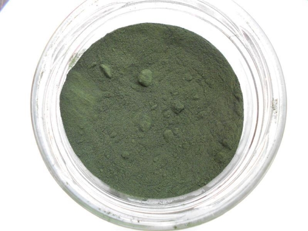 Spirulina